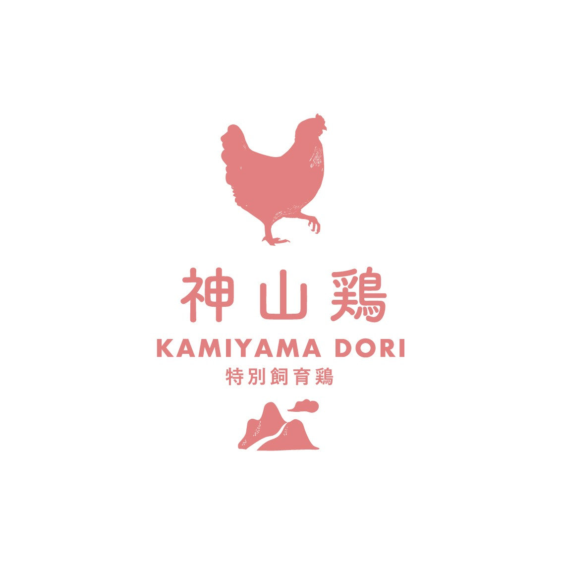 徳島銘柄鶏 神山鶏 手羽先（280g）
